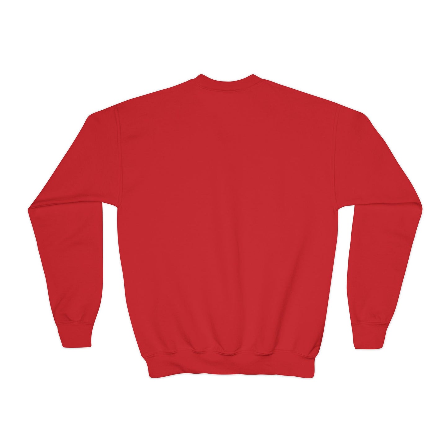 Chaos Coordinator - Youth Crewneck Sweatshirt