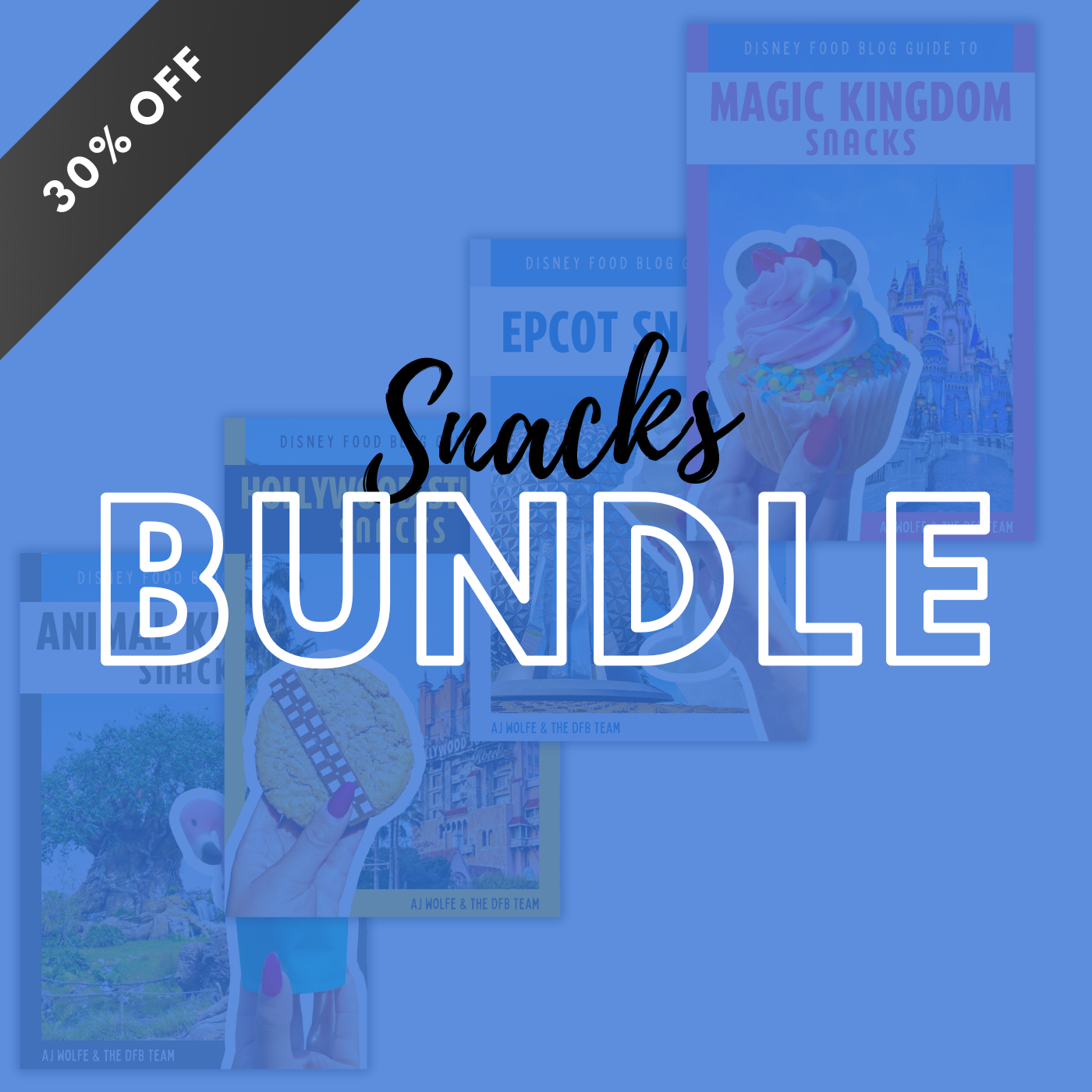 DFB Snacks Bundle