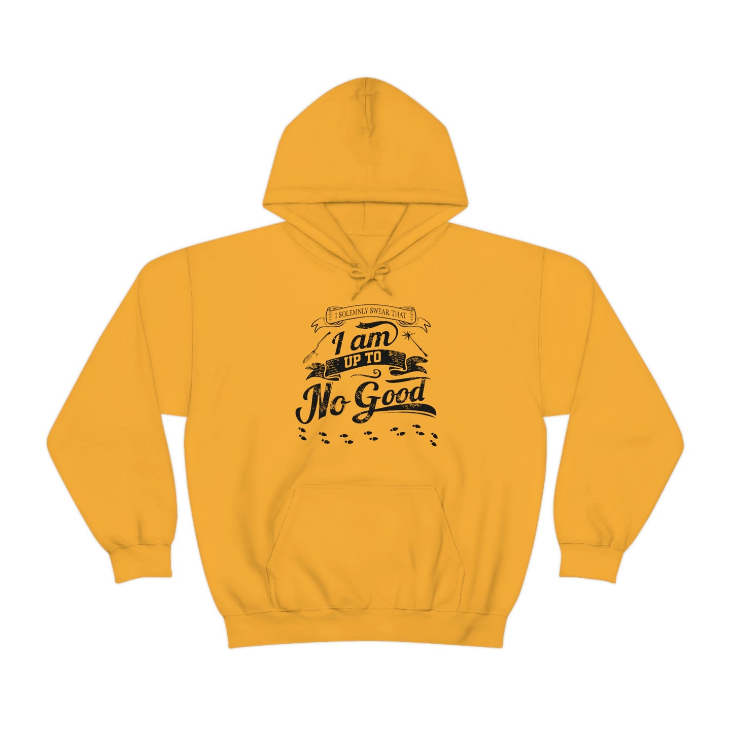 I Solemnly Swear - Adult Unisex Hoodie Sweatshirt