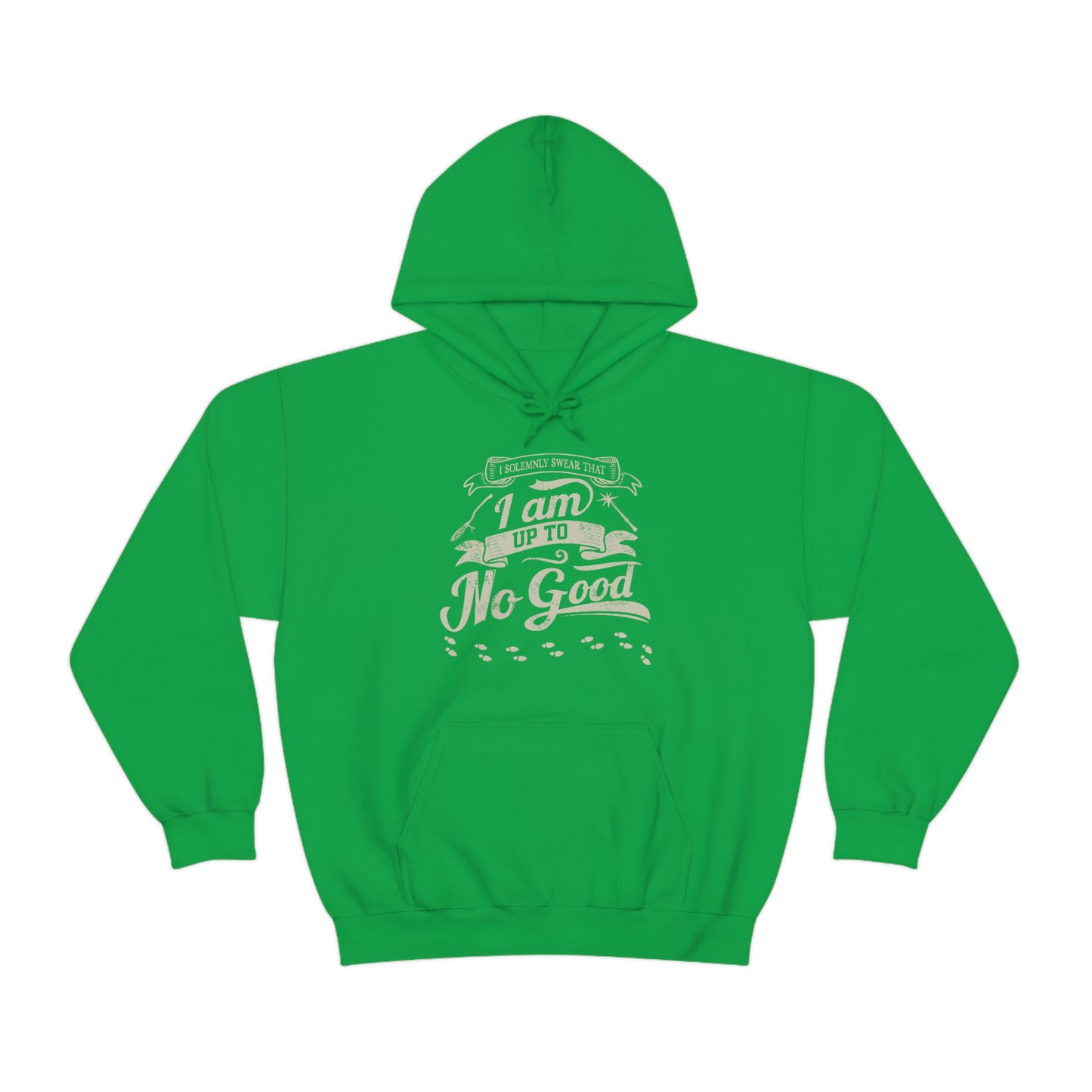 I Solemnly Swear - Adult Unisex Hoodie Sweatshirt