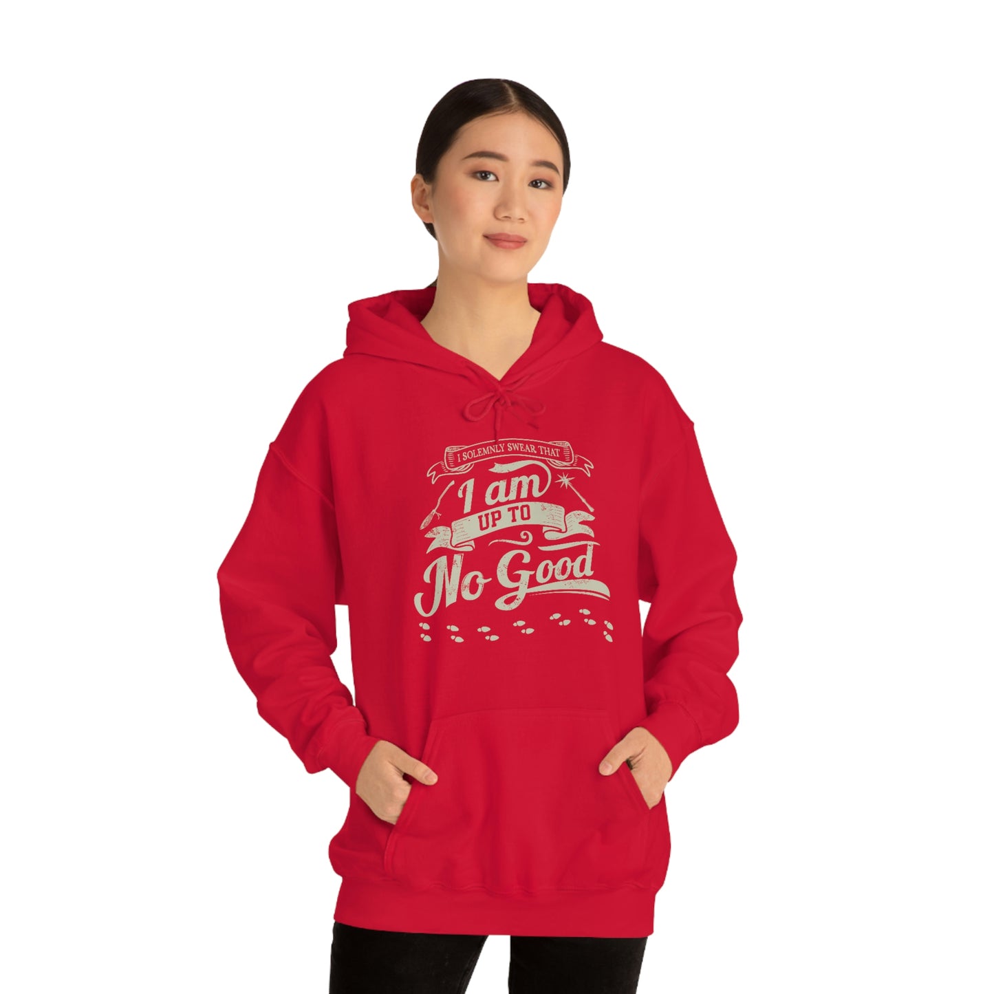 I Solemnly Swear - Adult Unisex Hoodie Sweatshirt