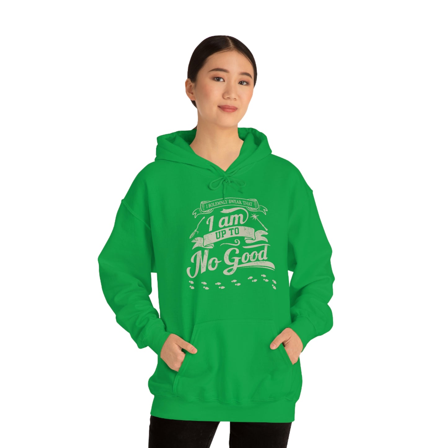 I Solemnly Swear - Adult Unisex Hoodie Sweatshirt