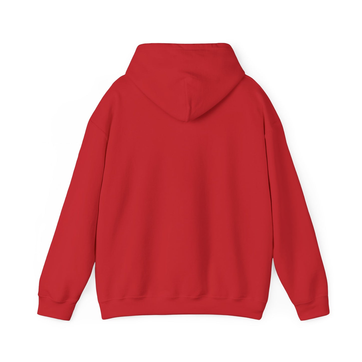 Magic Kingdom Snowglobes -  Adult Hoodie Sweatshirt