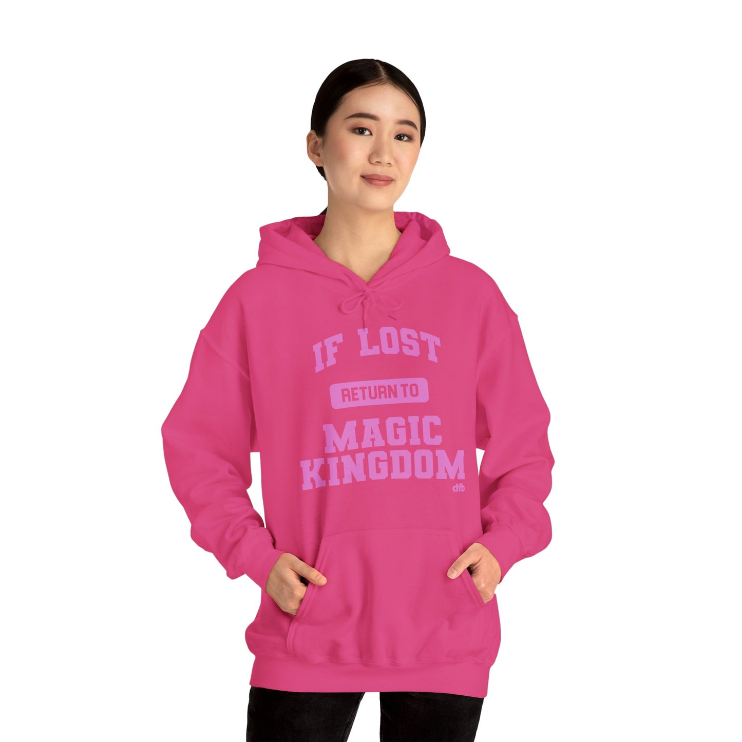 If Lost, Return To The Parks - Adult Hoodie Sweatshirt