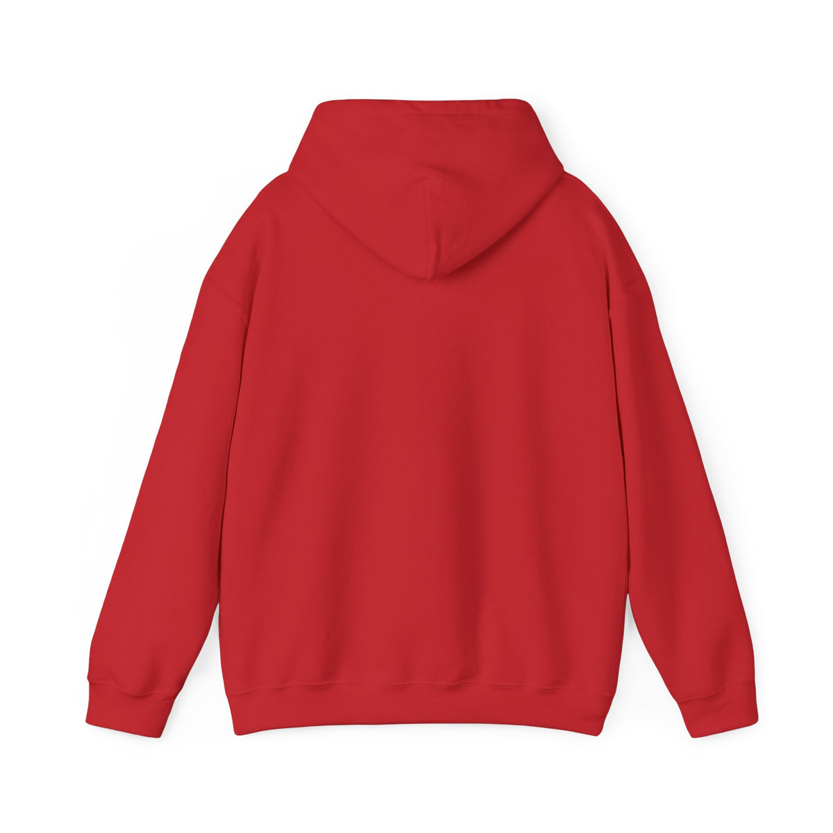 Hollywood Studios Snowglobes -  Adult Hoodie Sweatshirt