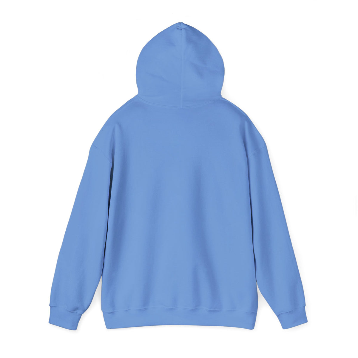 Hollywood Studios Snowglobes -  Adult Hoodie Sweatshirt