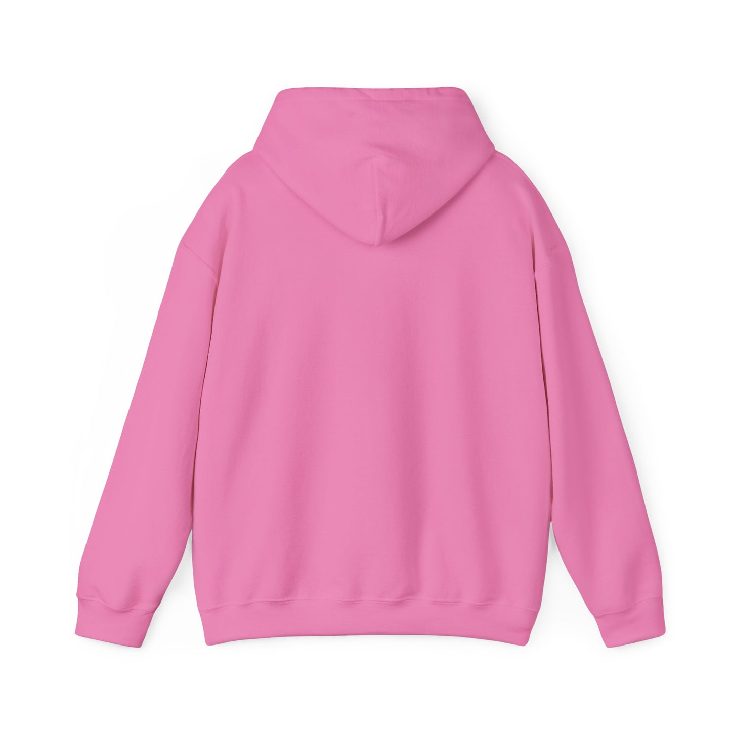 Magic Kingdom Snowglobes -  Adult Hoodie Sweatshirt