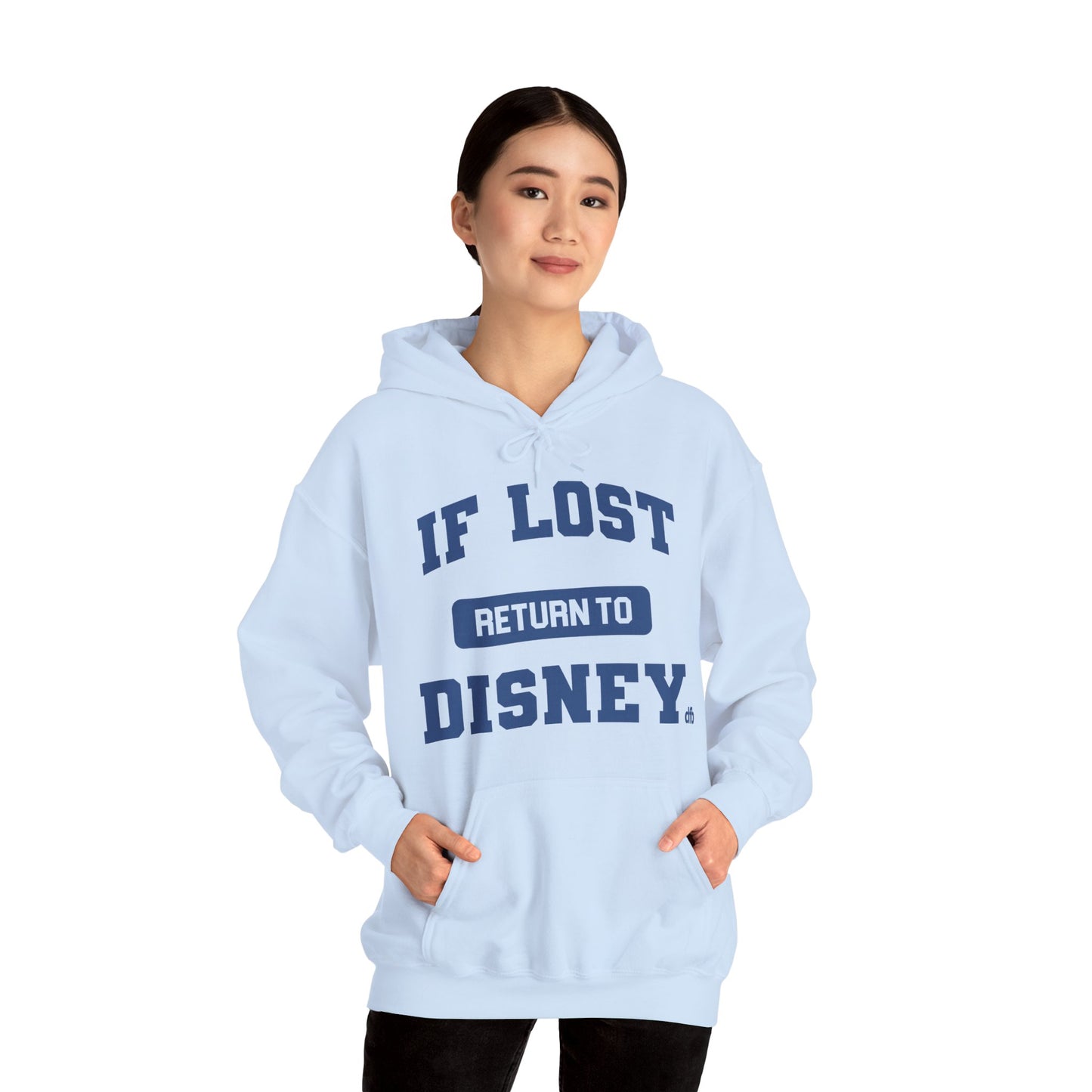 If Lost, Return To The Parks - Adult Hoodie Sweatshirt