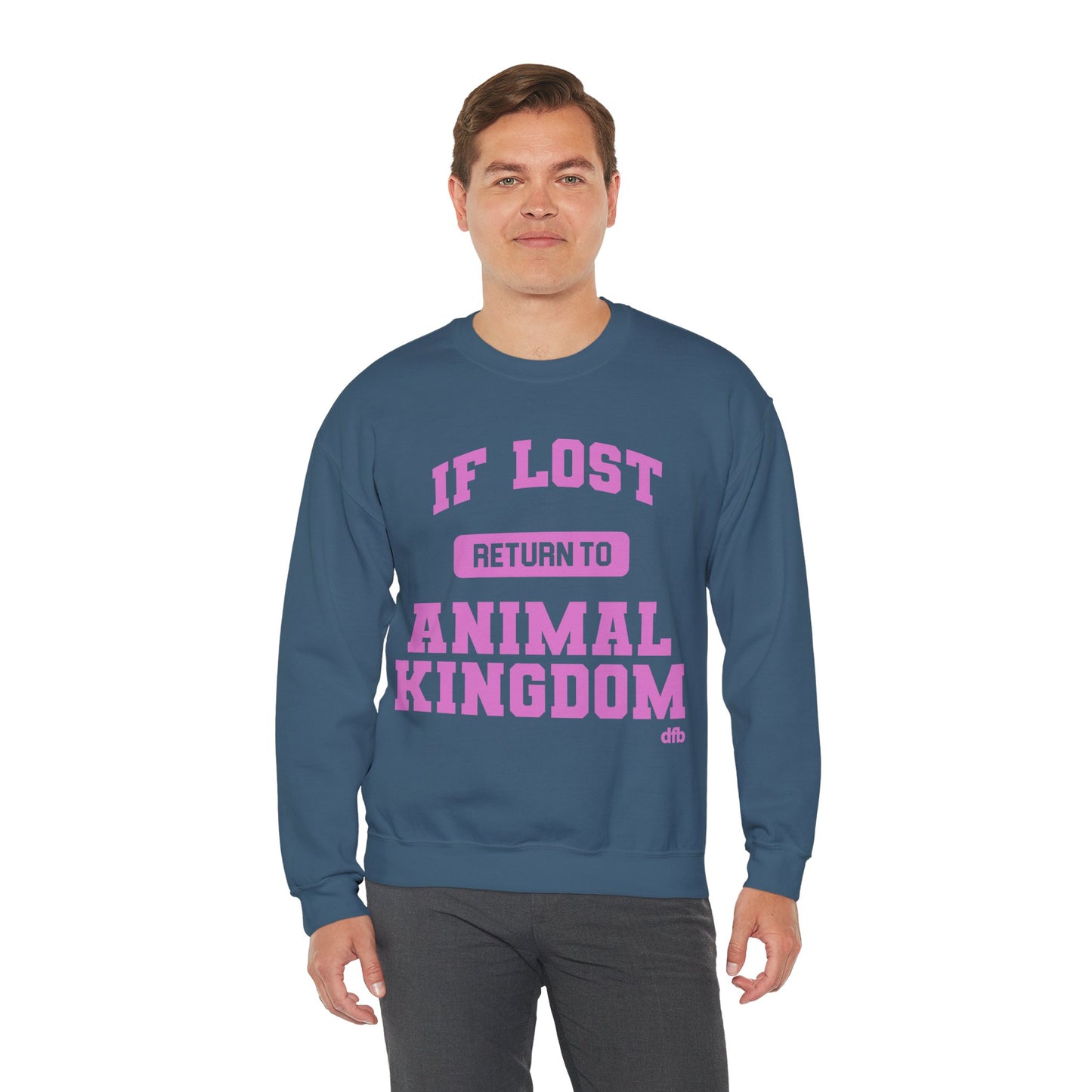 If Lost, Return to the Parks - Adult Sweatshirt