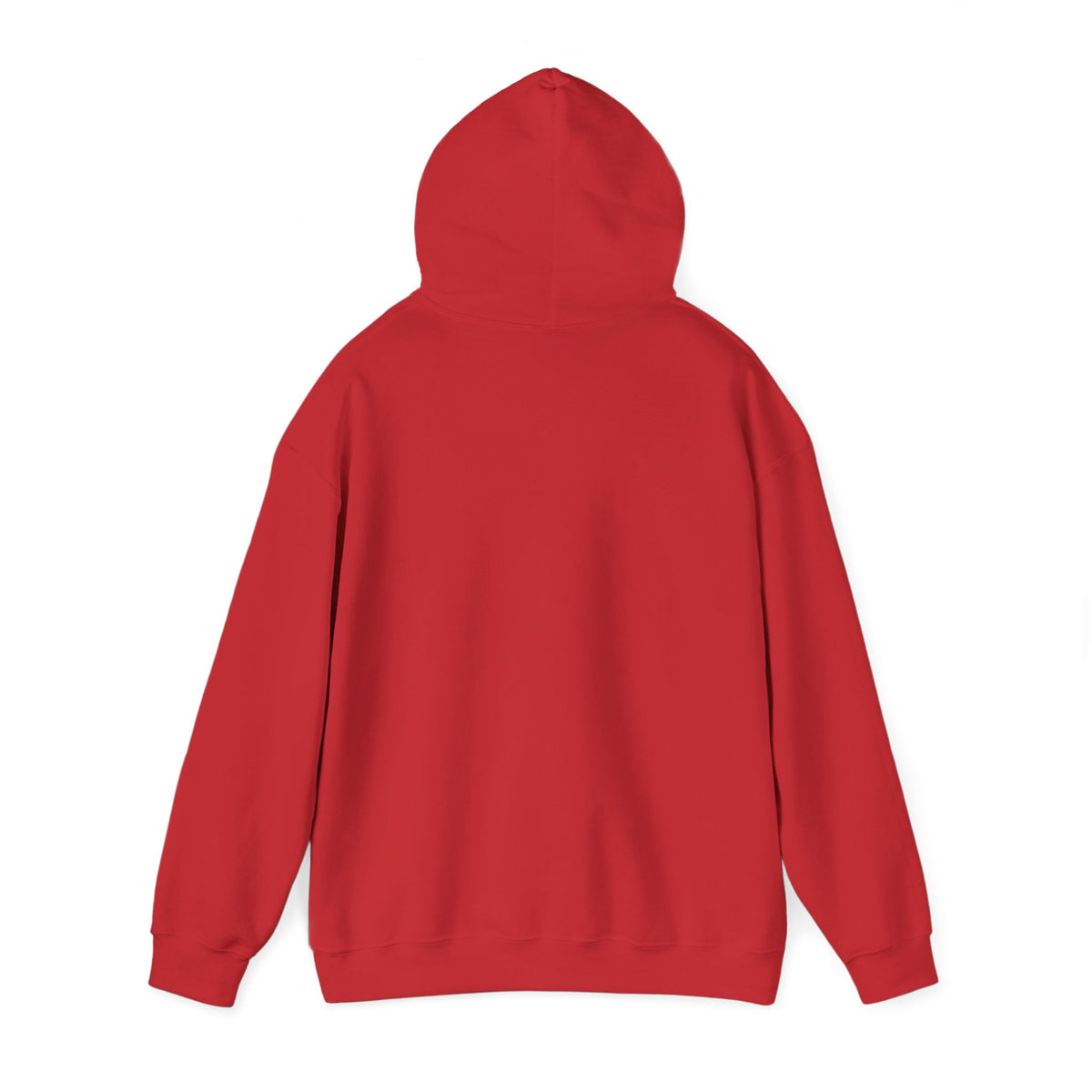Hollywood Studios Snowglobes -  Adult Hoodie Sweatshirt