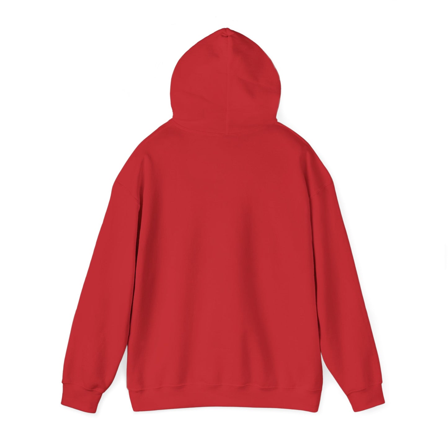 Magic Kingdom Snowglobes -  Adult Hoodie Sweatshirt