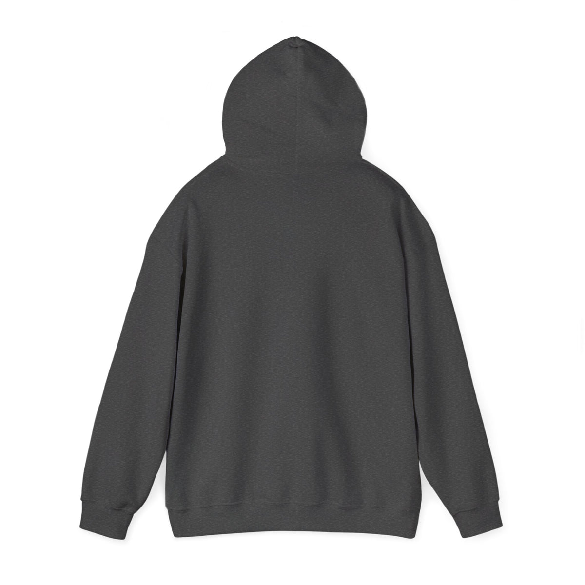 Hollywood Studios Snowglobes -  Adult Hoodie Sweatshirt