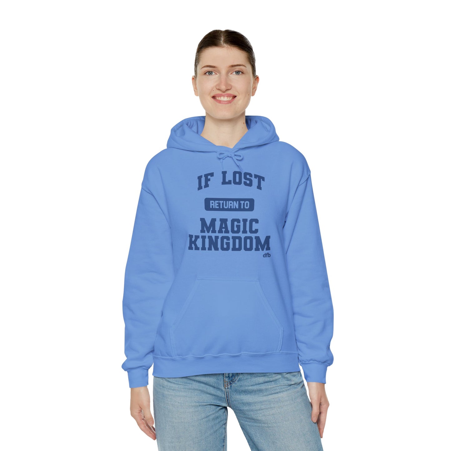 If Lost, Return To The Parks - Adult Hoodie Sweatshirt
