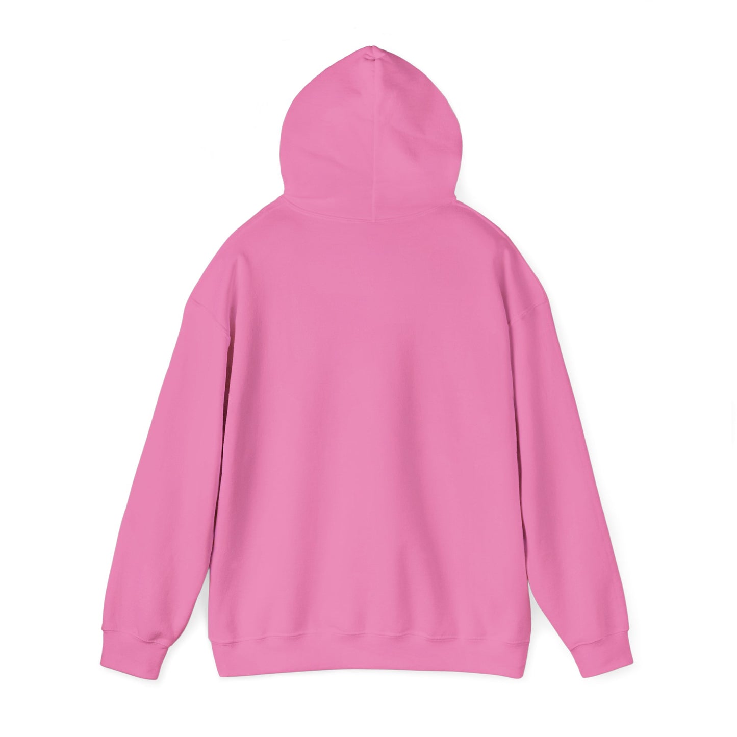 Magic Kingdom Snowglobes -  Adult Hoodie Sweatshirt