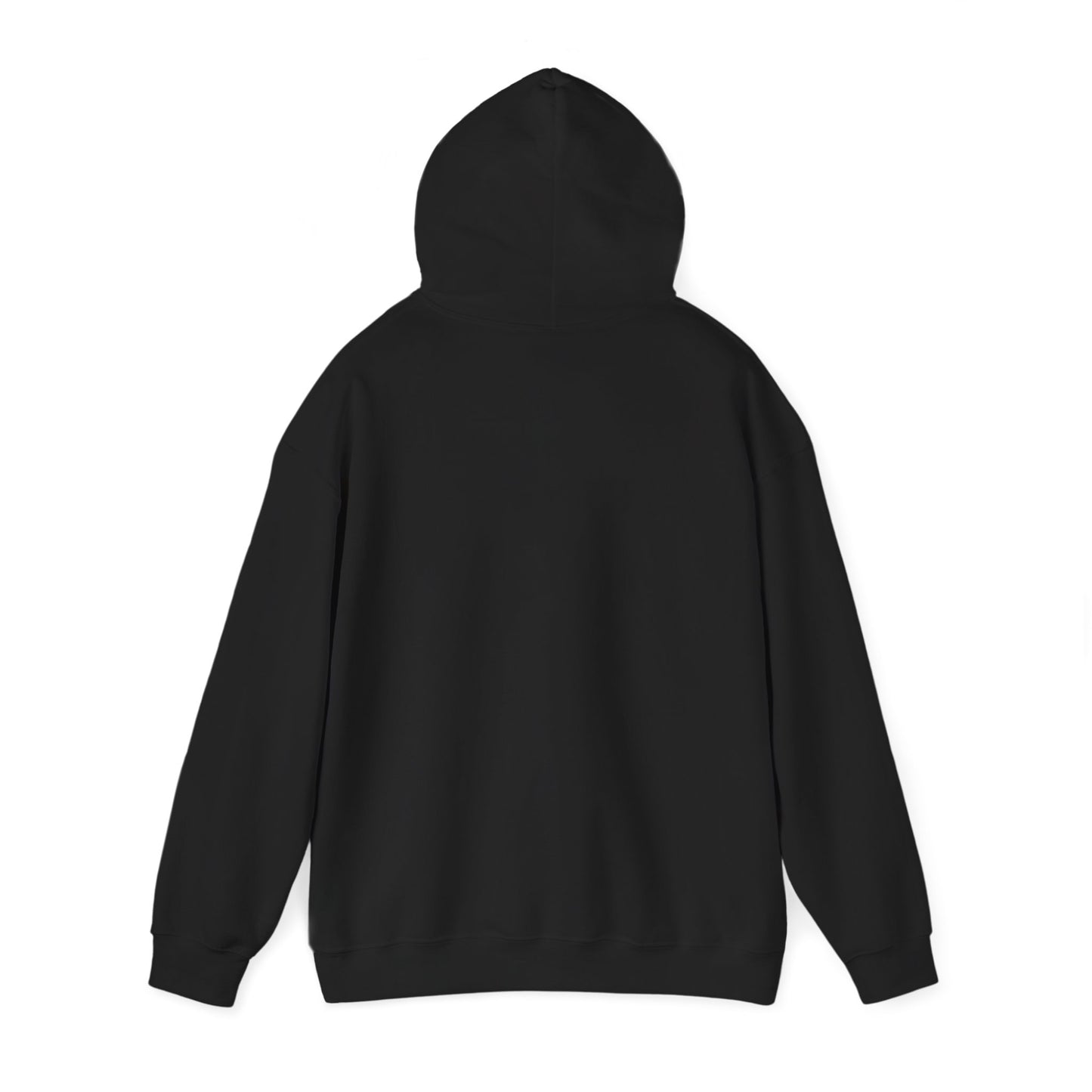 Magic Kingdom Snowglobes -  Adult Hoodie Sweatshirt