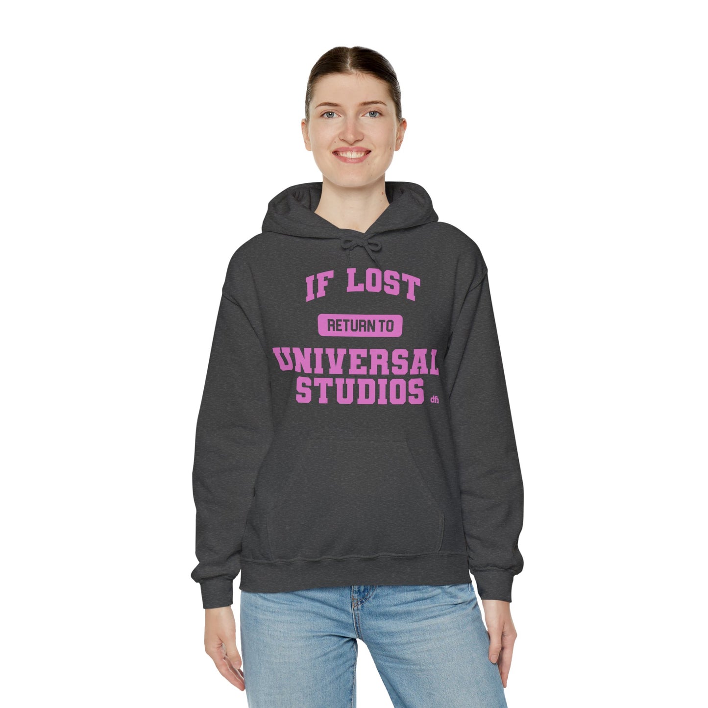 If Lost, Return To The Parks - Adult Hoodie Sweatshirt
