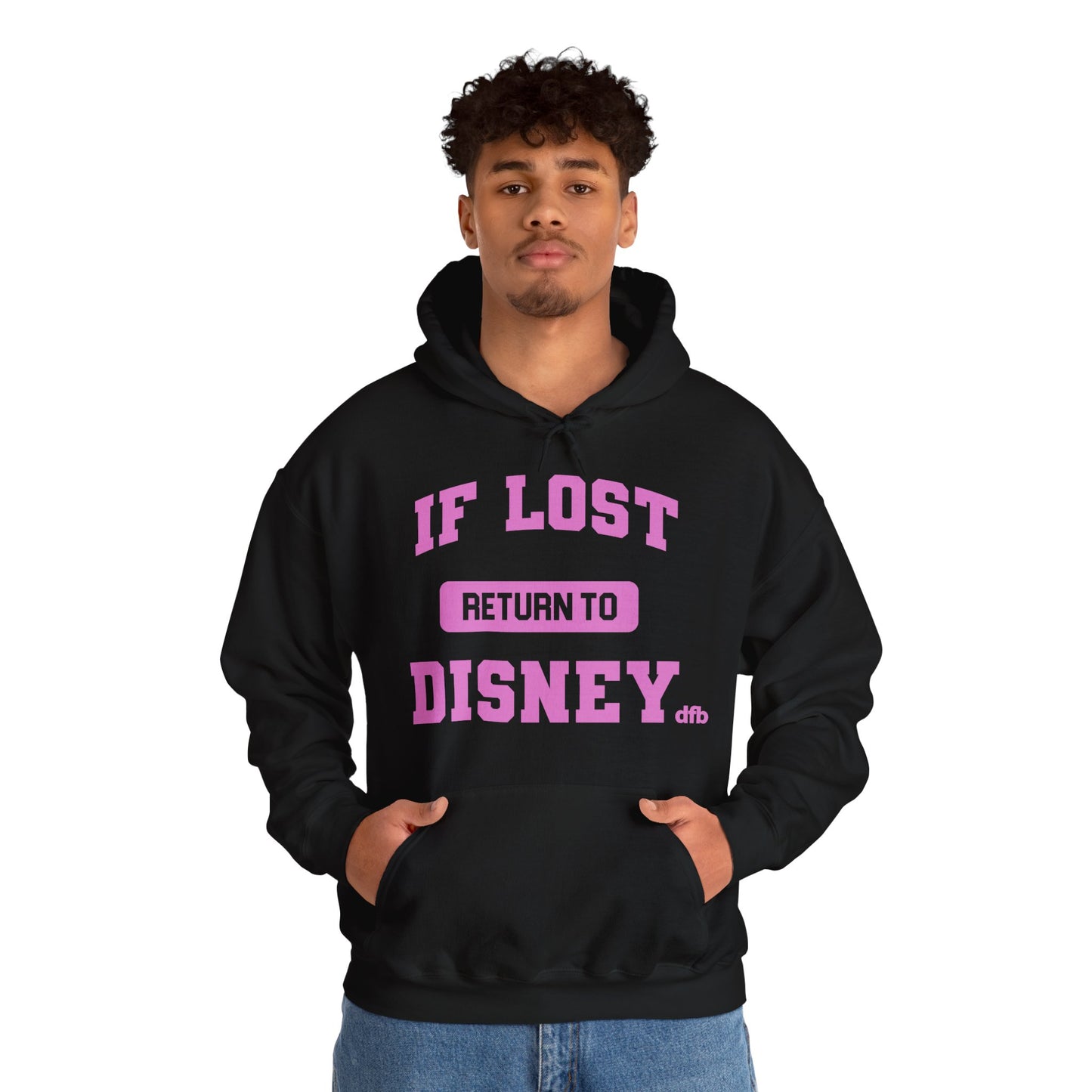 If Lost, Return To The Parks - Adult Hoodie Sweatshirt