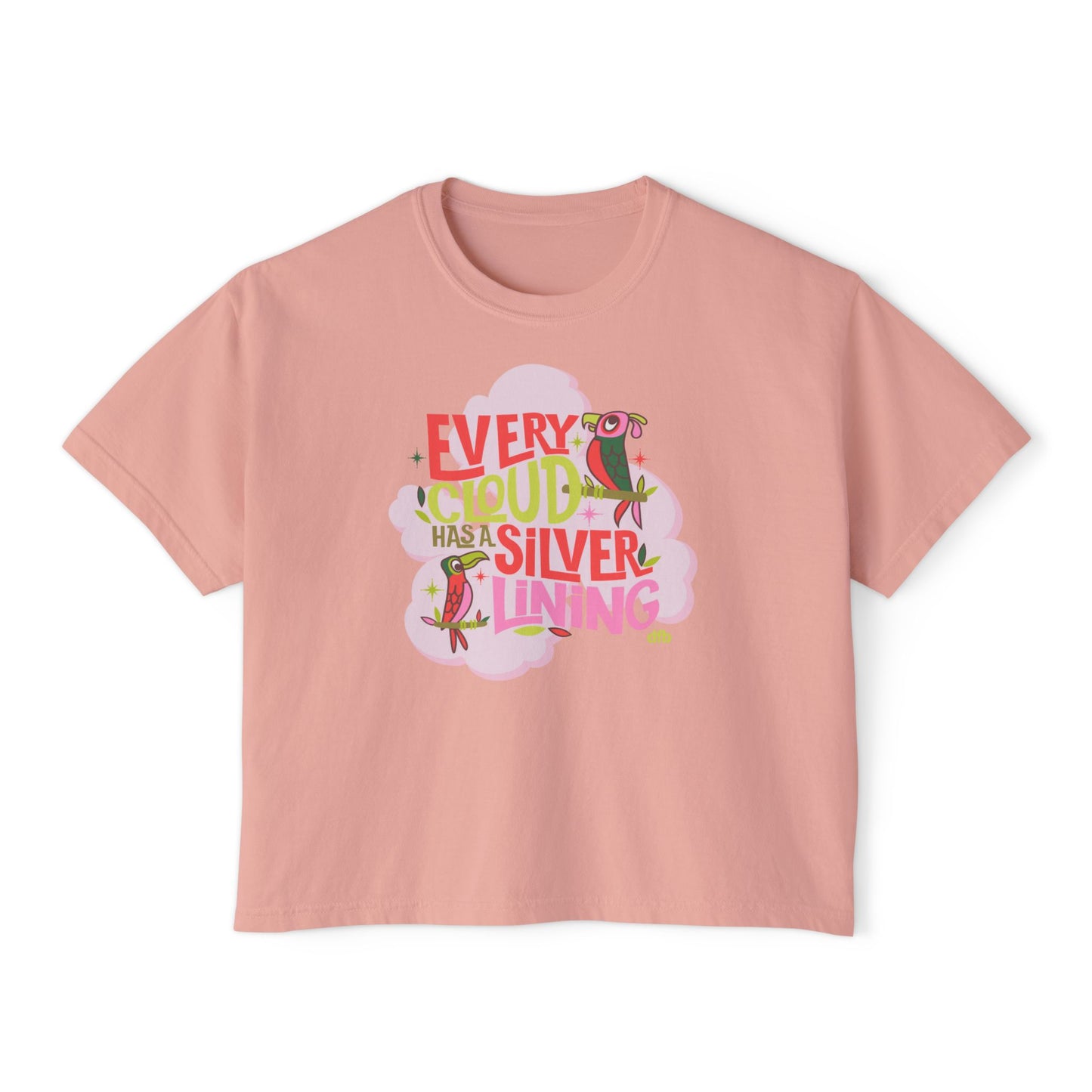 LIMITED EDITION Every Cloud Has a Silver Lining - Women's Boxy Tee