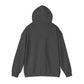 Magic Kingdom Snowglobes -  Adult Hoodie Sweatshirt