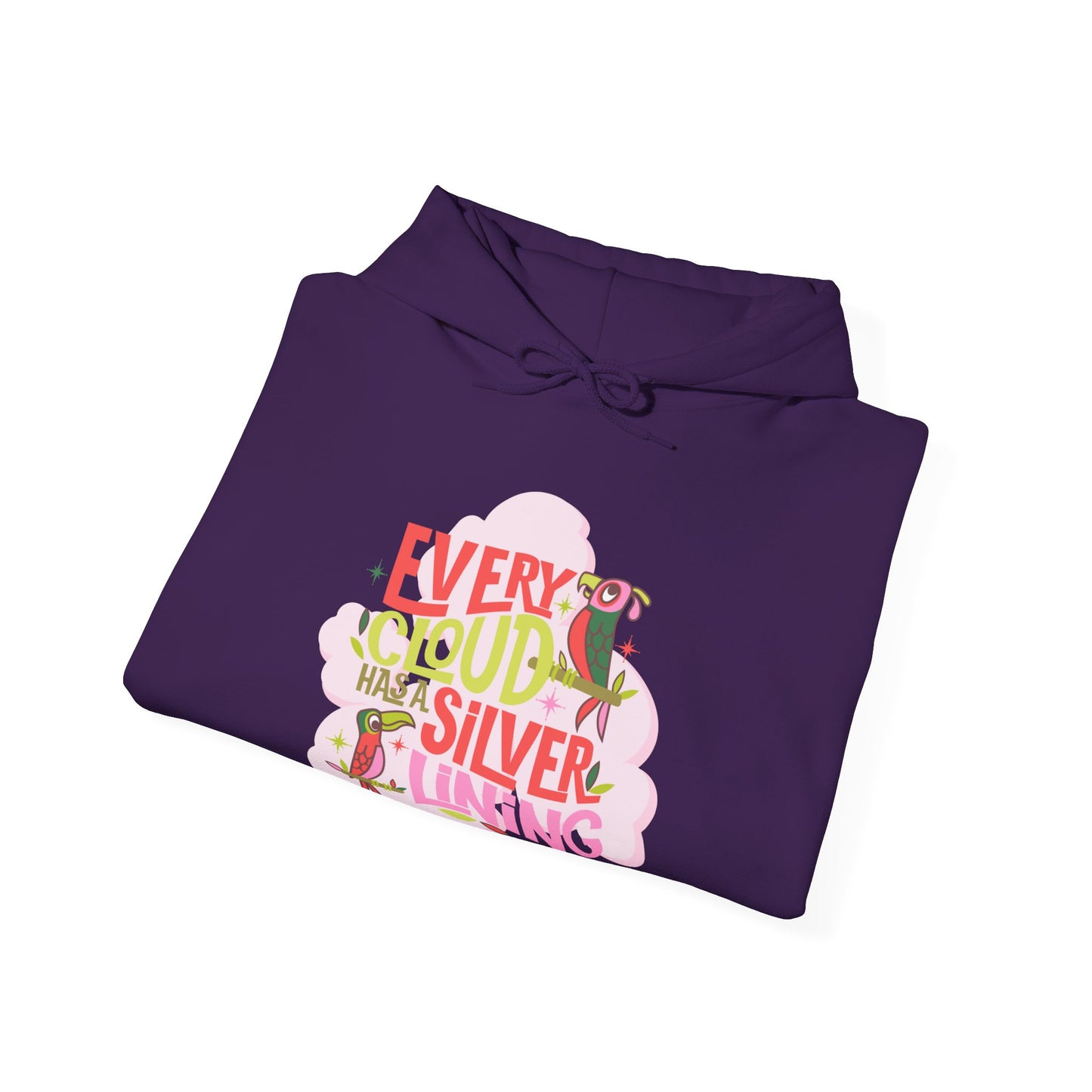 LIMITED EDITION Every Cloud Has a Silver Lining - Adult Hoodie Sweatshirt