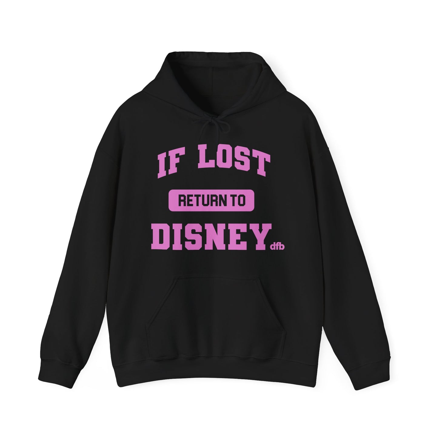 If Lost, Return To The Parks - Adult Hoodie Sweatshirt