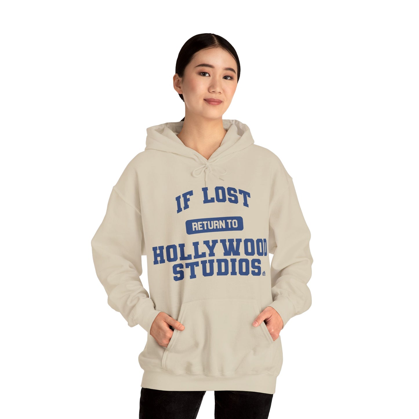 If Lost, Return To The Parks - Adult Hoodie Sweatshirt
