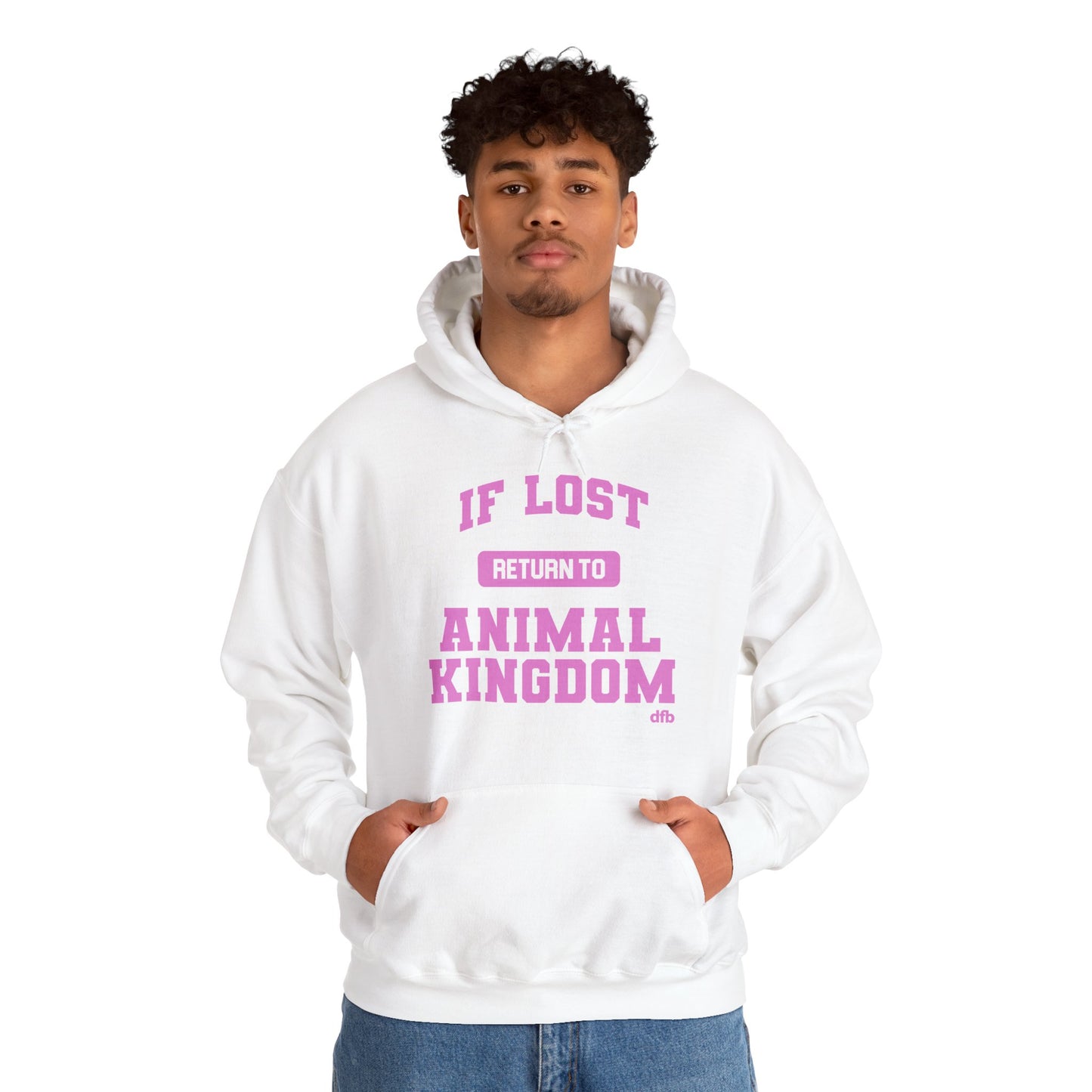 If Lost, Return To The Parks - Adult Hoodie Sweatshirt