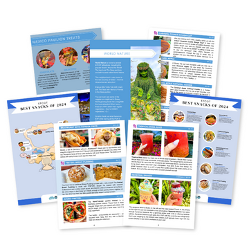 DFB Guides – DFB Store