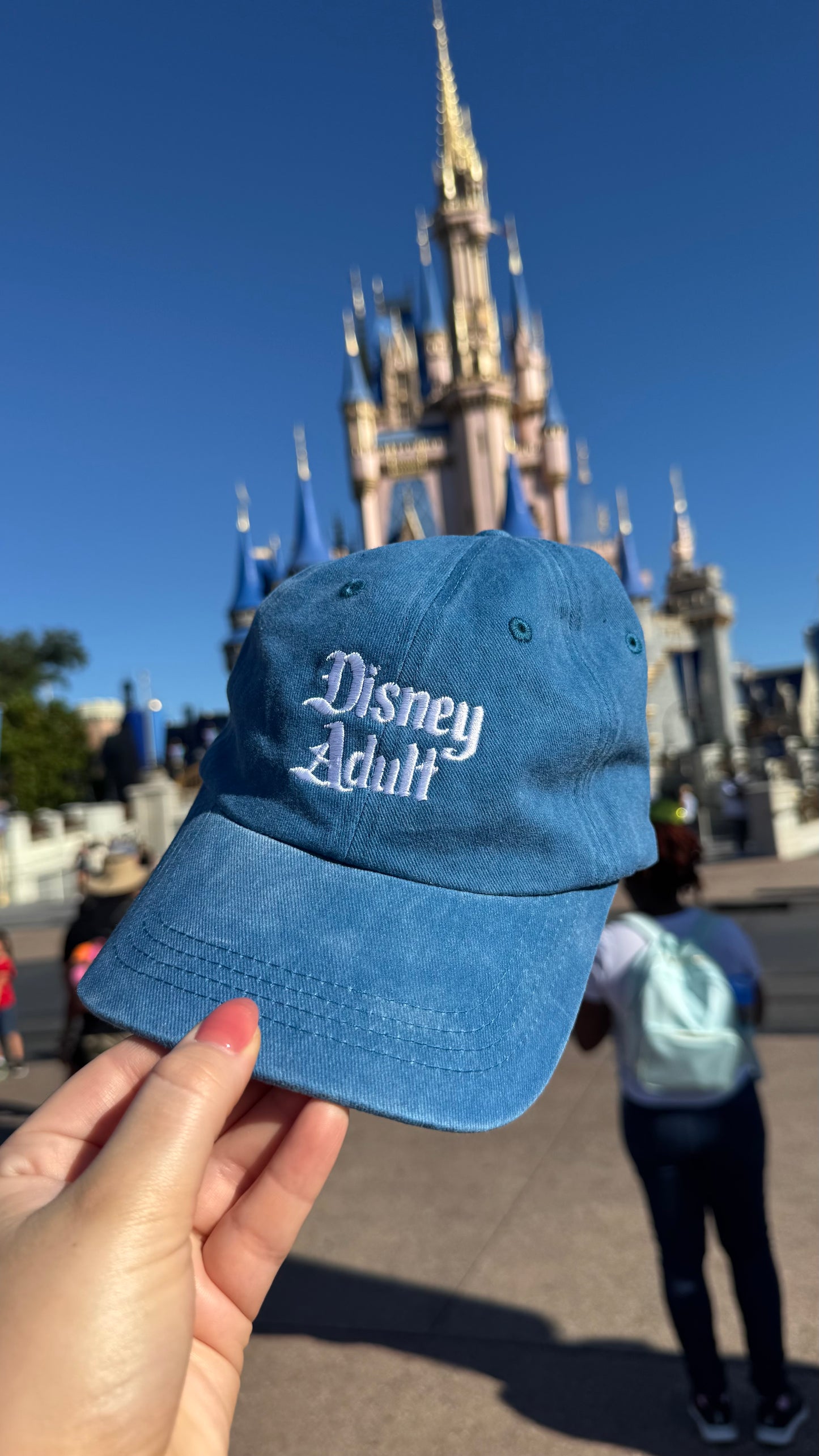 The Perfect Gift Set - SIGNED Disney Adults Book AND Disney Adult Embroidered Baseball Hat