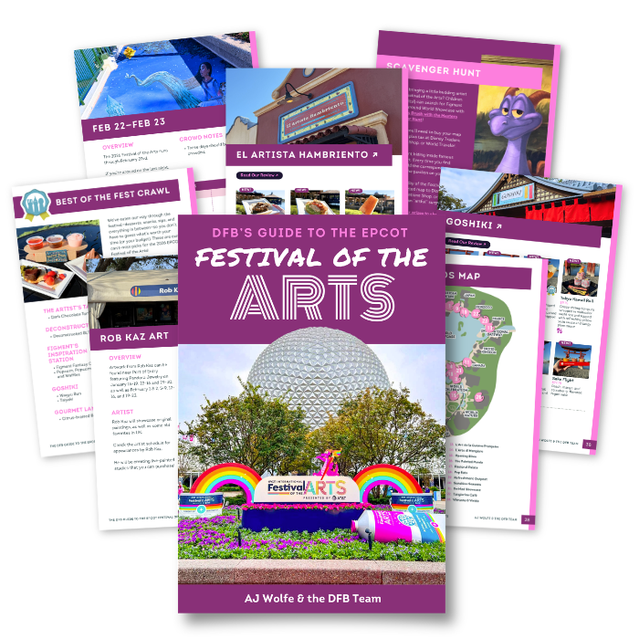 DFB EVERYTHING Bundle