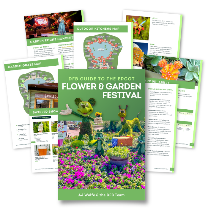 DFB EVERYTHING Bundle