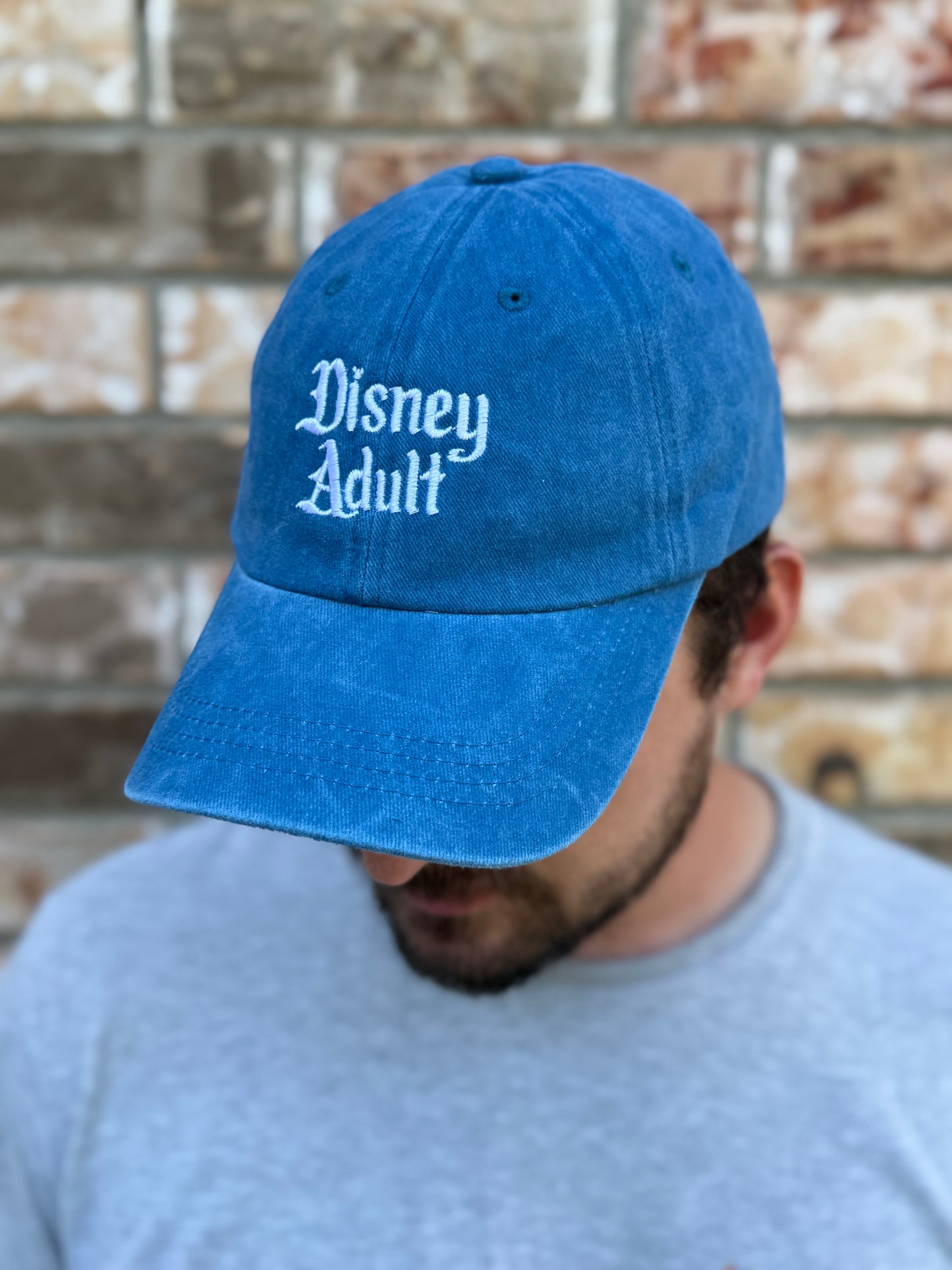 The Perfect Gift Set - SIGNED Disney Adults Book AND Disney Adult Embroidered Baseball Hat