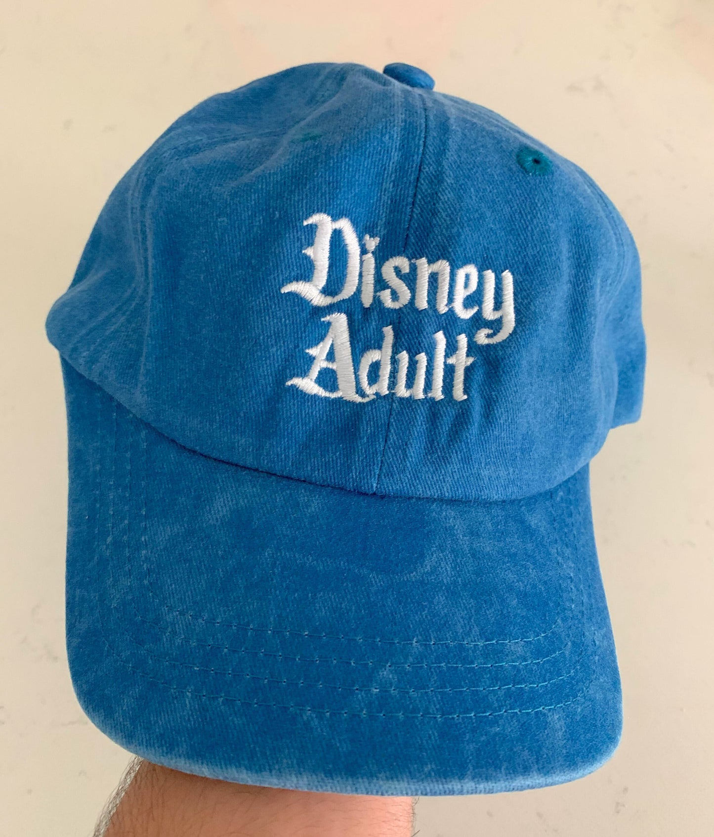 The Perfect Gift Set - SIGNED Disney Adults Book AND Disney Adult Embroidered Baseball Hat