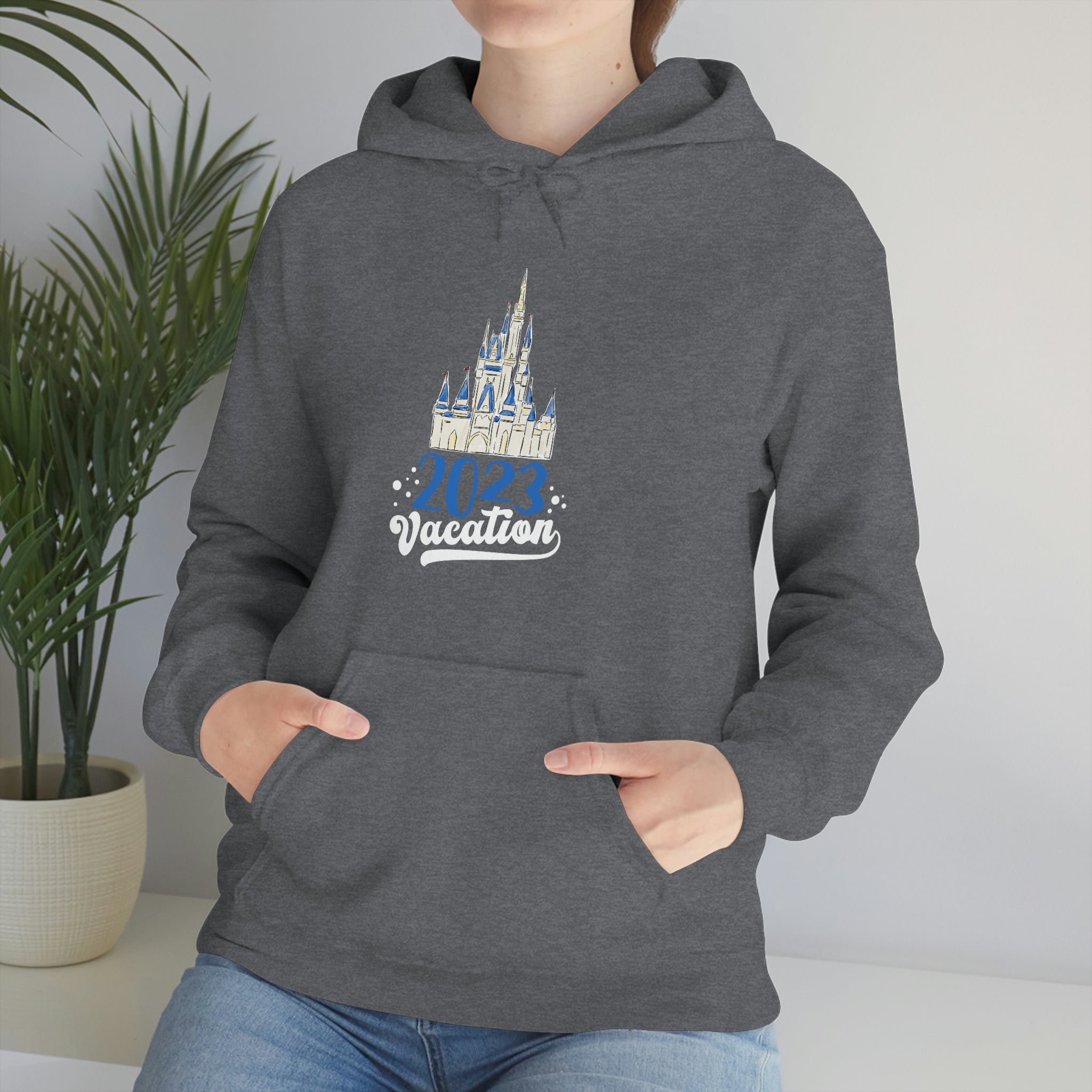 Grey 2024 disney hoodie